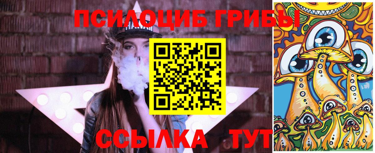 Галлюциногенные грибы Psilocybe Луга